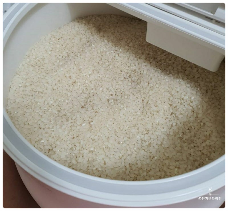 락앤락 진공쌀통 20kg :: 쌀맛이 그대로 유지됨!