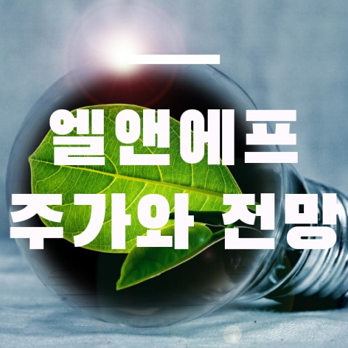  엘앤애프 주가 전망 전기차 수혜주 엘엔에프 분석해보자 (키너블14)
