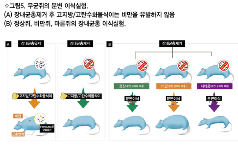 그냥,빵집 이미지