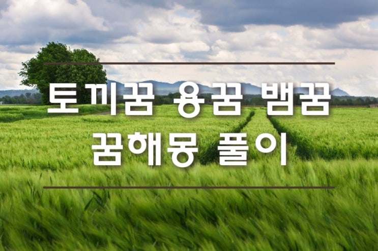  동물꿈 토끼꿈 뱀꿈 용꿈 자세하고 시원하게 풀이해드려요