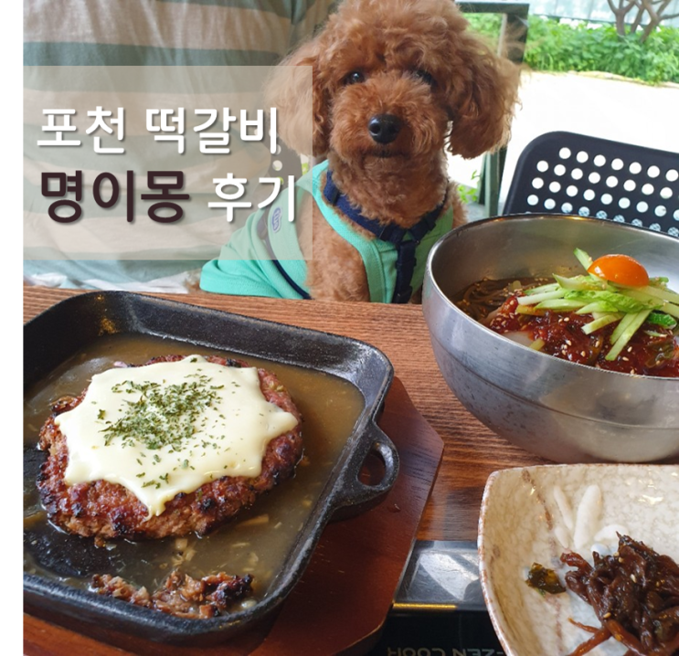  포천 애견동반 식당 / 명이몽 : 아트벨리 근처 떡갈비