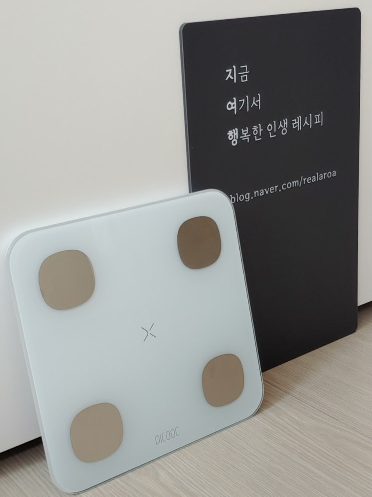  인바디체중계 피쿡 Mini SE로 매일 체지방 측정 - 다이어터에게 꼭 필요한 가정용인바디 체중계