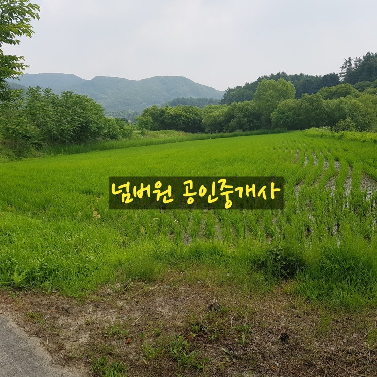 포천시 가산면 마전리 농지매매