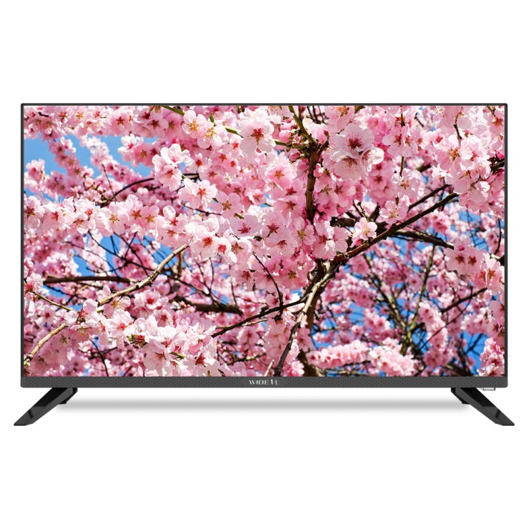  WIDEVU HD 81.3cm TV WV320HD-S02, 스탠드형, WV320HD-S02(무결점)