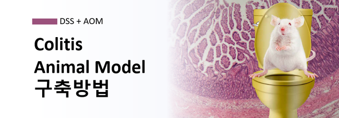 IBD Animal Model (염증성장질환 동물모델) 구축방법