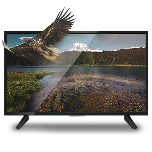  롤리 HD TV 81.28cm ED3200HZ, 스탠드형, 자가설치