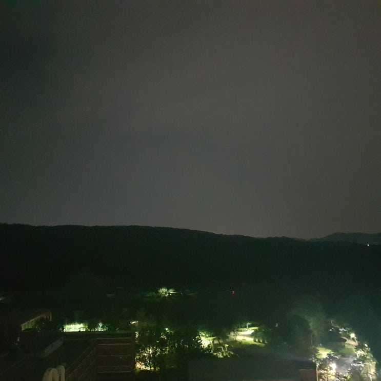  새벽부터 비가 내리네요...