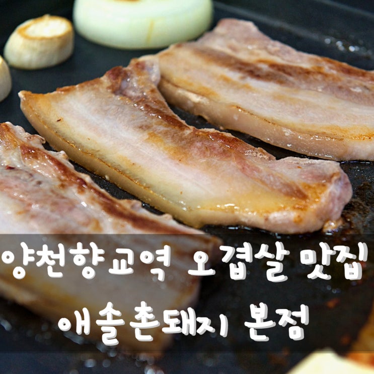 양천향교역 맛집 애솔촌돼지 본점 오겹살 발산역 맛집