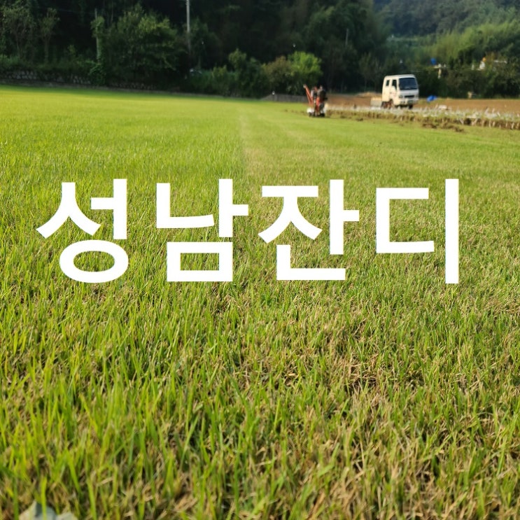 경기도의 중앙 성남 잔디 배달