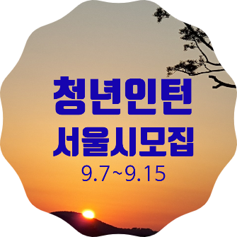  서울시, 청년인턴 200명 모집, 사회경력을 획득하여 취업의 마중물로 삼으세요