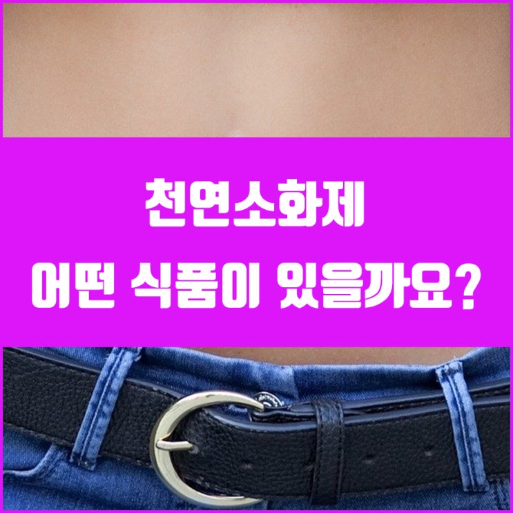  천연소화제 속이 더부룩하다면?