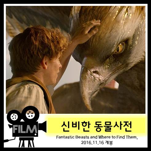 <신비한 동물사전1> 해리포터보다 앞선 시대의 마법사들 이야기 [넷플릭스 공개 신작]