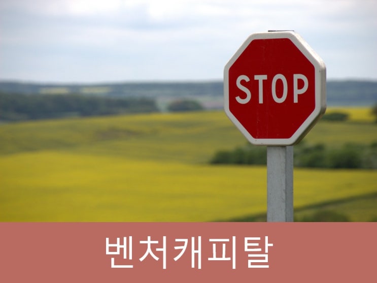  벤처캐피탈과 엔젤투자의 차이점, 특징, 절차 총정리!!