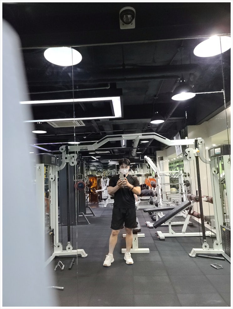  알파 짐웨어 남자 머슬핏 반팔 바로이거야!