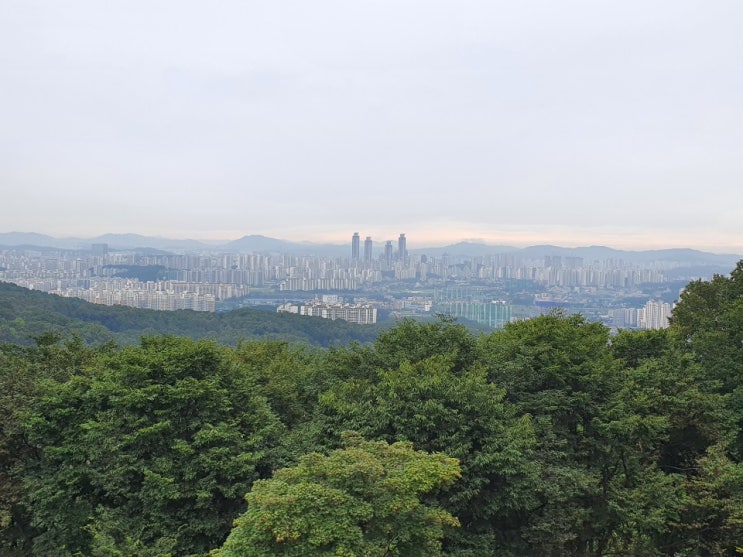 날씨가 좋아서 오랜만에 등산을 다녀왔어요 날씨가 좋아서 오랜만에 등산을 다녀왔어요
