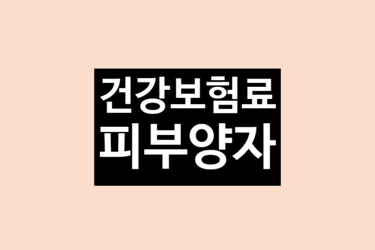 건강보험 피부양자 자격