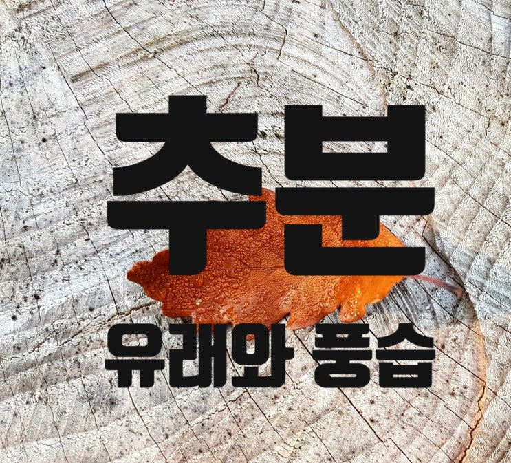  추분(秋分) / 낮과 밤의 길이가 같아지는 날