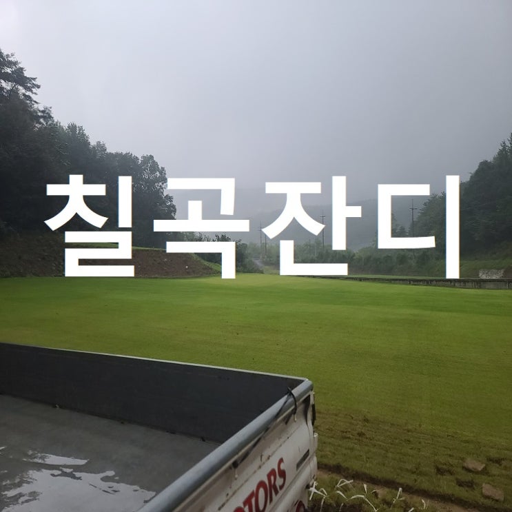  골짜기가 많은 칠곡 잔디 보내드렸어요