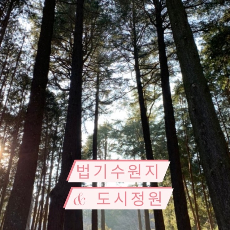  <양산 데이트> 법기수원지  / 도시정원 카페 ️