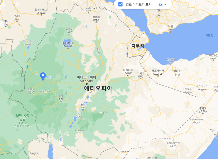  [Specialty]Ethiopia GUJI URAGA Haro Lebetu G1 Natural