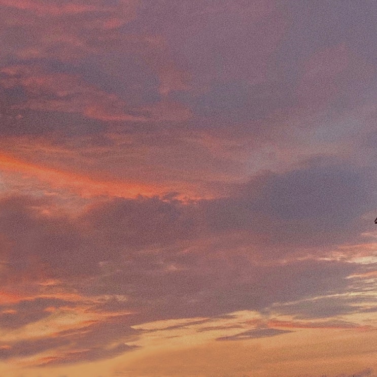  휴대폰 배경화면 고화질 : Sunset