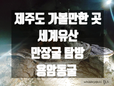  [제주도]용암동굴 "만장굴" 다녀온 후기 /세계 자연유산/세계지질공원