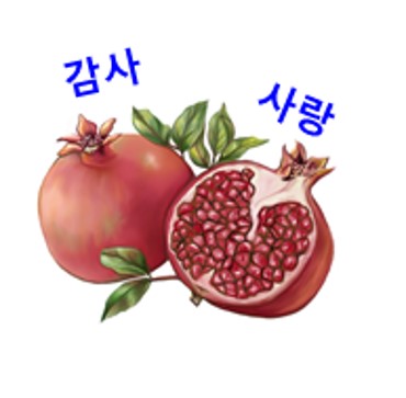  석류의 효능 7가지 대해 알아보겠습니다/여성에게 좋은 석류