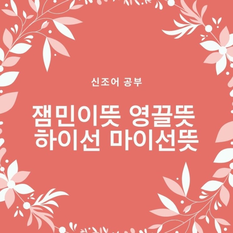 잼민이뜻 영끌뜻 하이선마이선뜻