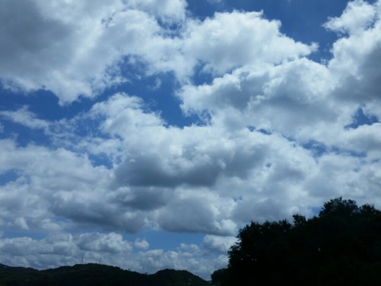  #가치 찾기 릴레이/인생 가치관(From엄마 사피엔스 i  love  it !)