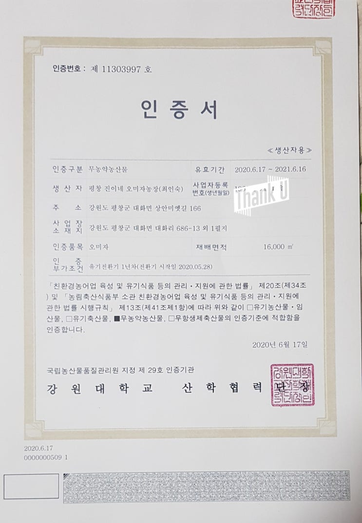  무농약 인증받은 평창진이네오미자 입니다