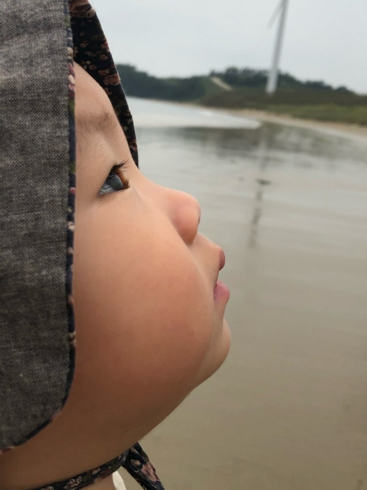  [신안군 여행]자은도 프라이빗 비치(내치해변/외기해변/양산해변)