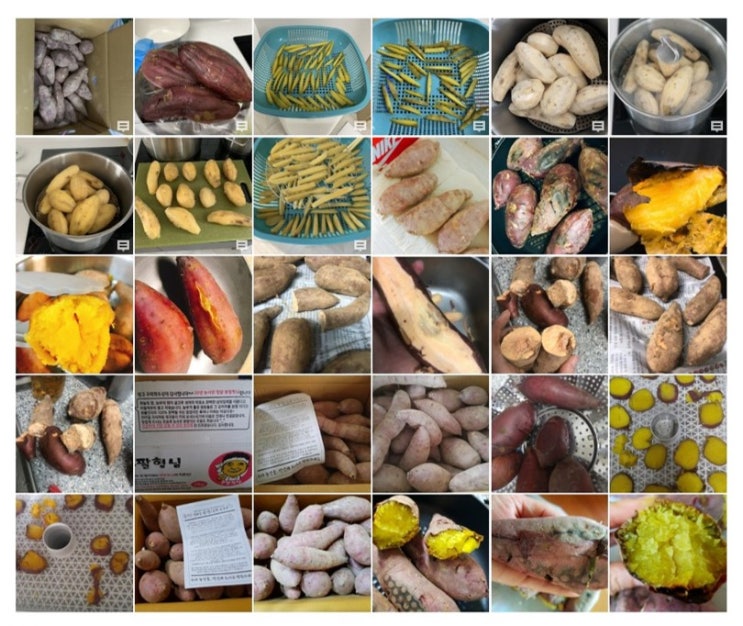  고구마가 제철인 계절  쪄서 먹어도 구워 먹어도 맛있는 고구마효능