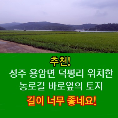  성주토지 대구에서 20분거리 천평미만 농지매매