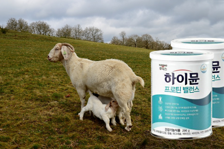  산양유 단백질 일동후디스 하이 뮨