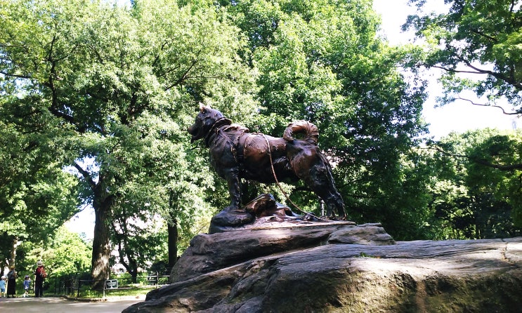  NY Manhattan Summer Trip 1 | Central Park & Metropolitan Museam-미술관+동물원=센트럴파크