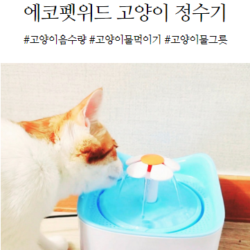 고양이 음수량 늘리기 물그릇 고민없이 정수기로 쉽게 물먹이기!