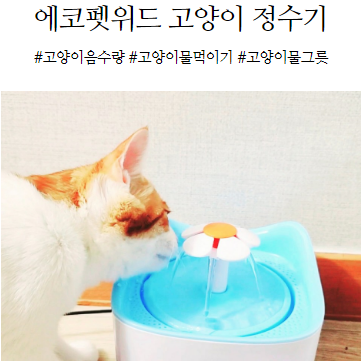  고양이 음수량 늘리기 물그릇 고민없이 정수기로 쉽게 물먹이기!