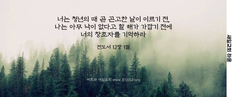 새일교회 | 교회 안의 분쟁은 왜 있을 것이냐 새일교회 | 교회 안의 분쟁은 왜 있을 것이냐