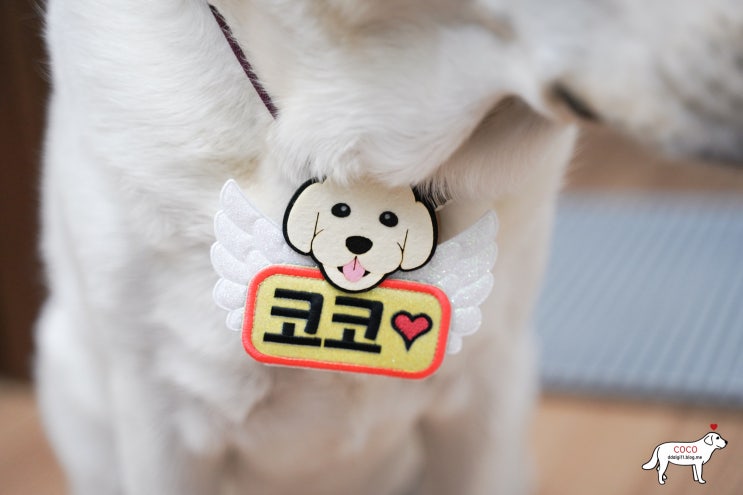  초코송이네 강아지 네임택 귀엽게 커스텀 제작했어요!