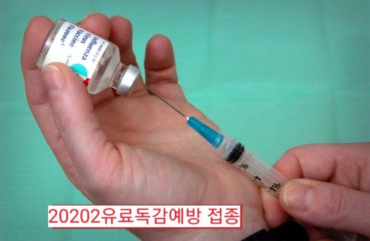  독감예방(인플루엔자)유료 접종가격 저렴한곳