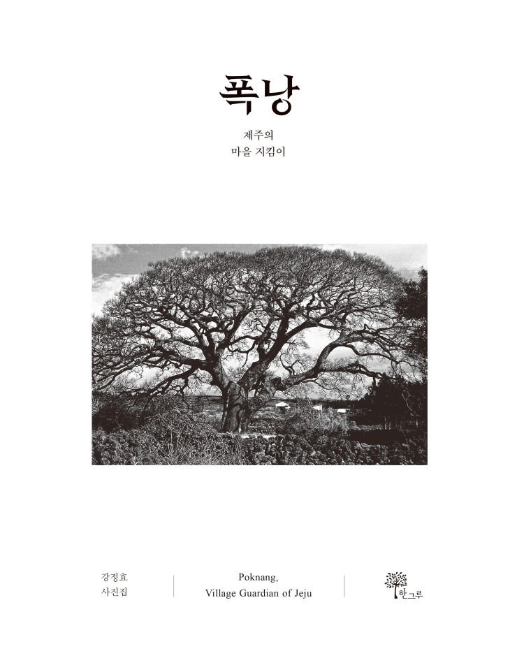  폭낭, 제주의 마을 지킴이 #강정효 #한그루