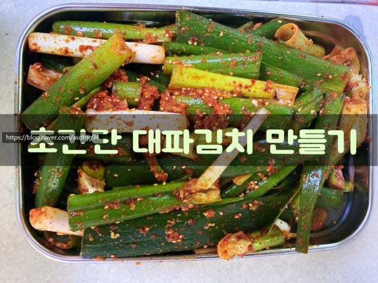  초간단 대파김치 만들기/액젓없이 집에서 뚝.딱 만들다! 대파김치레시피 일단 드루와~/대파김치황금레시피
