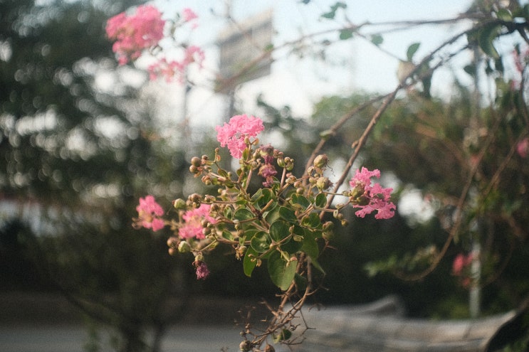  인더스타 69와 함께한 빈티지 부산 산책.jpg (Industar 69 28mm F2.8)