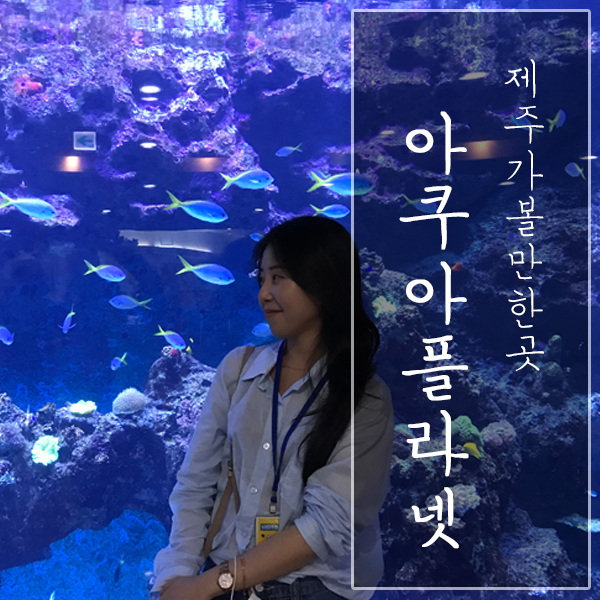  [제주도 관광지] "아쿠아플라넷 제주" - 아쿠아리움과 미니언즈 관람을 동시에!