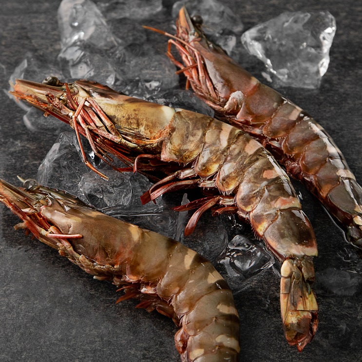  킹블랙타이거 홈파티팩 새우 3마리 (냉동), 430g, 1개