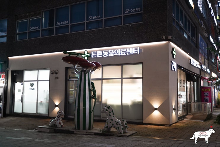  친절한 미사동물병원 :: 24시튼튼동물의료센터