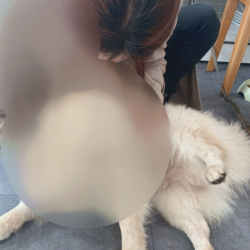가성비 역대급 트렌치코트 미쏘 스탠다드핏 롱 트렌치코트 괜찮네요~ 가성비 역대급 트렌치코트 미쏘 스탠다드핏 롱 트렌치코트 괜찮네요~