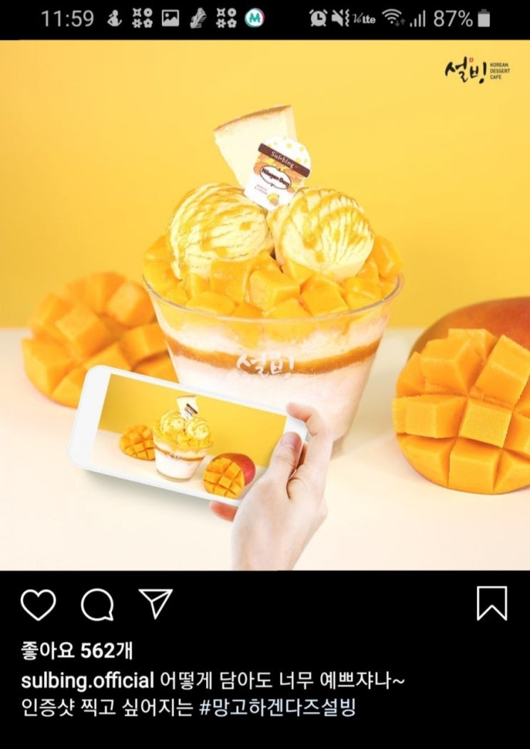  설빙 신제품 망고하겐다즈설빙 소개 가격 정보