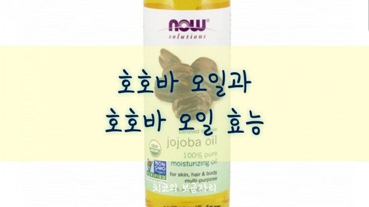  쿠팡 로켓직구 / 위치 하젤 토너, 재로우 아연, 나우푸드 퓨어 모이스쳐라이징 호호바오일 구매