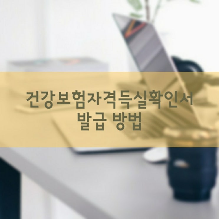  국민건강보험자격득실확인서 인터넷으로 발급, 동사무소도 가능